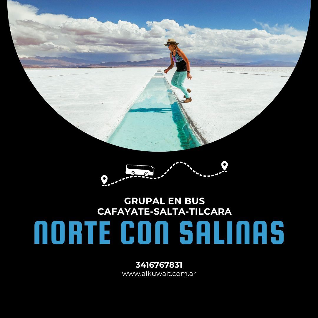 noroeste-con-salinas-grandes-384